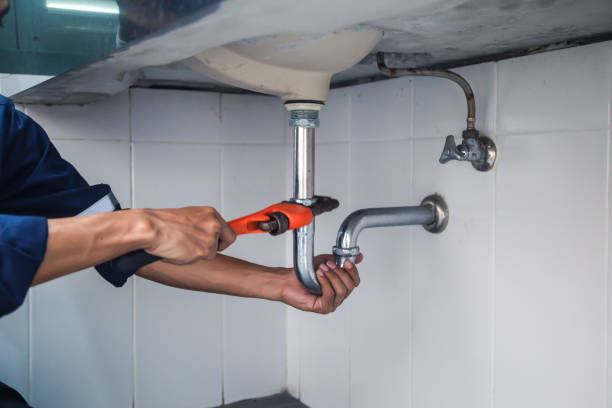 Best Commercial Plumbing Services  in Starbuck, MN
